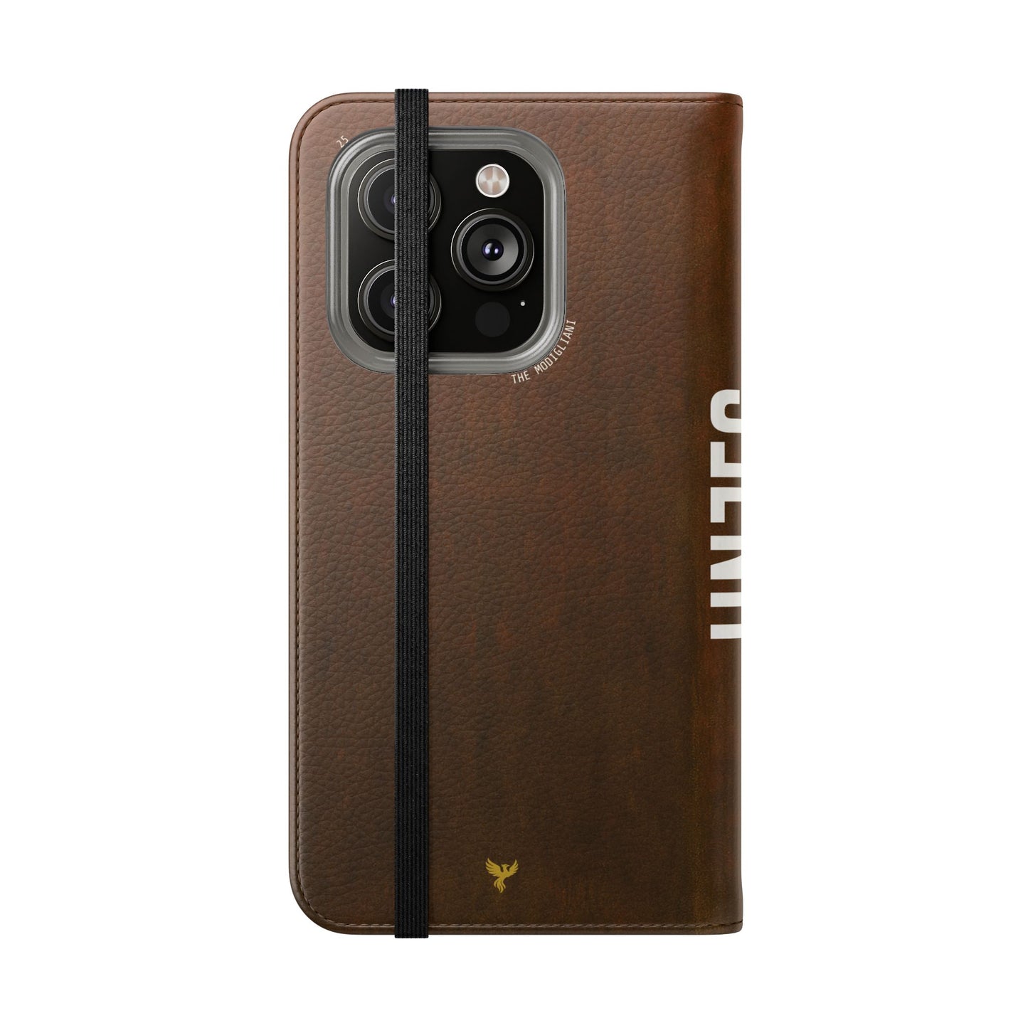 The Modigliani Folio Case