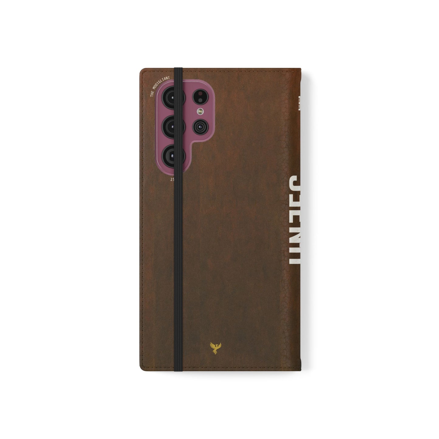 The Modigliani Folio Case