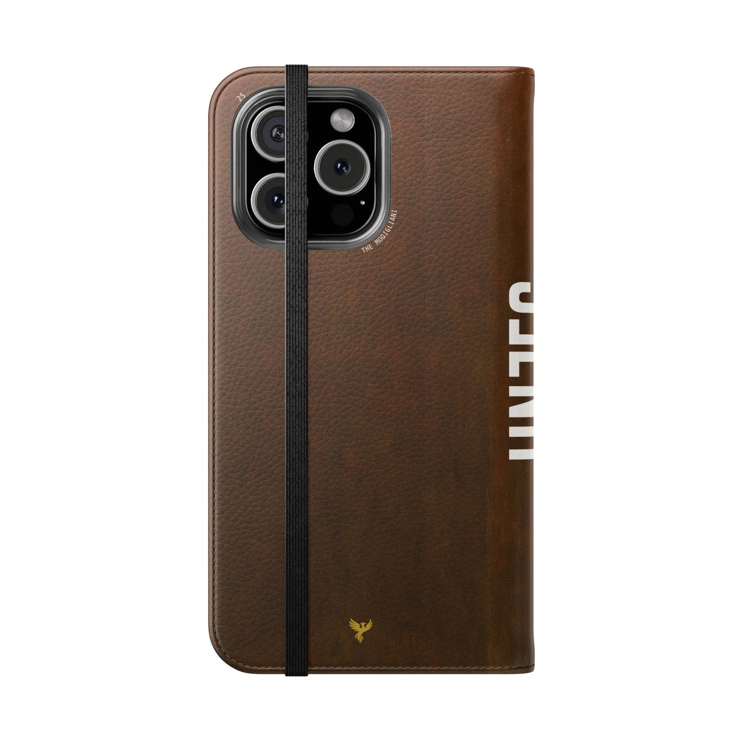 The Modigliani Folio Case